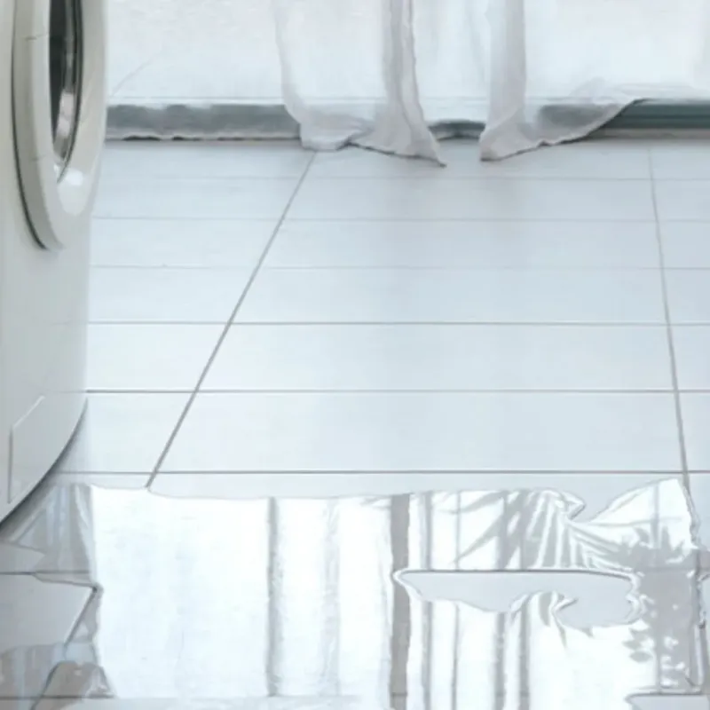 Appliance Leak Cleanup in Pleasant Hill, CA